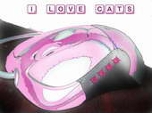I love cats